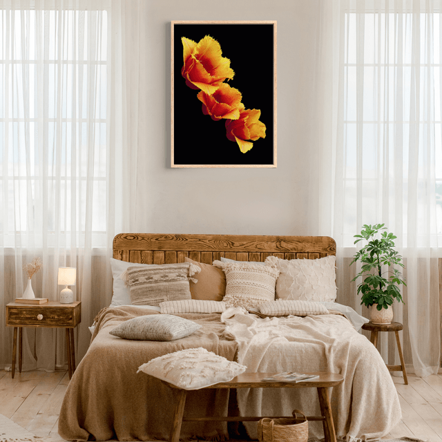 Impression de Tulip Fleurs à Franges Oranges / Orange Fringed Flowers Art Print: Décoration Murale Florist 