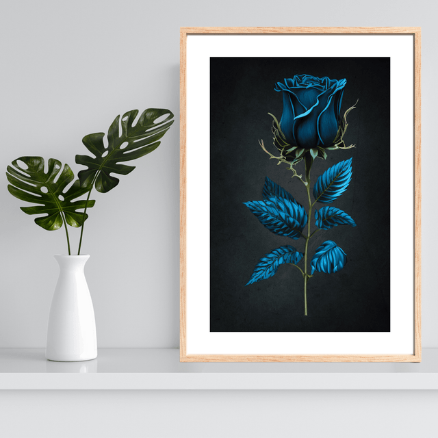 Rose Bleu-Vert sur Fond Gris Ombragé / Blue-Green Rose on Shady Gray Background: Décoration Murale Elegance in Contrast