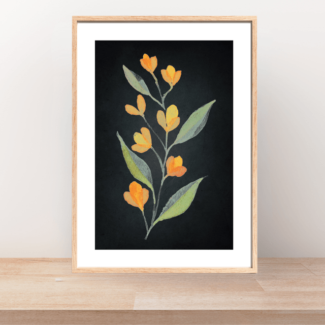 Impression Florale Aquarelle -7 Lysimaques Jaunes avec Bordure Blanche / Floral Watercolor Print - 7 Yellow Loosestrife on Black with White Border