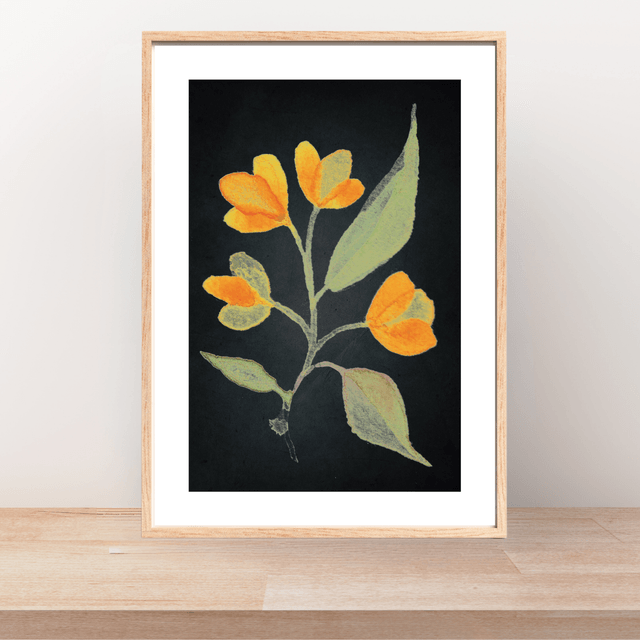 Impression Florale Aquarelle - 4 Lysimaques Jaunes sur Noir avec Bordure Blanche / 4 Yellow Loosestrife Flowers Watercolor Print - with White Border 