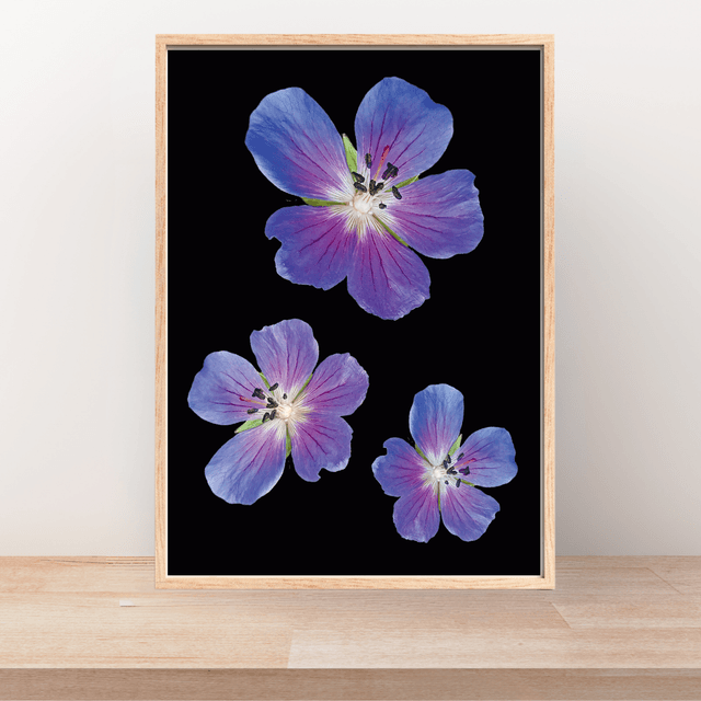 Impression Fleurs Violettes - Décoration Murale Florale Élégante / Purple Flowers Print - Elegant Floral Wall Decor