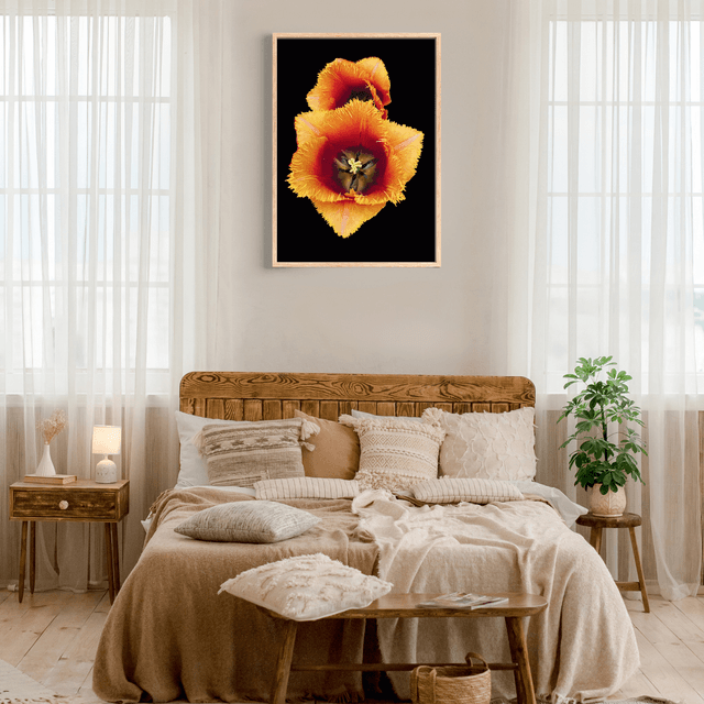  Impression de Tulipe à Franges Oranges / Sunny Delight: Orange Fringed Tulip Art Print:  Décoration Murale Florist 