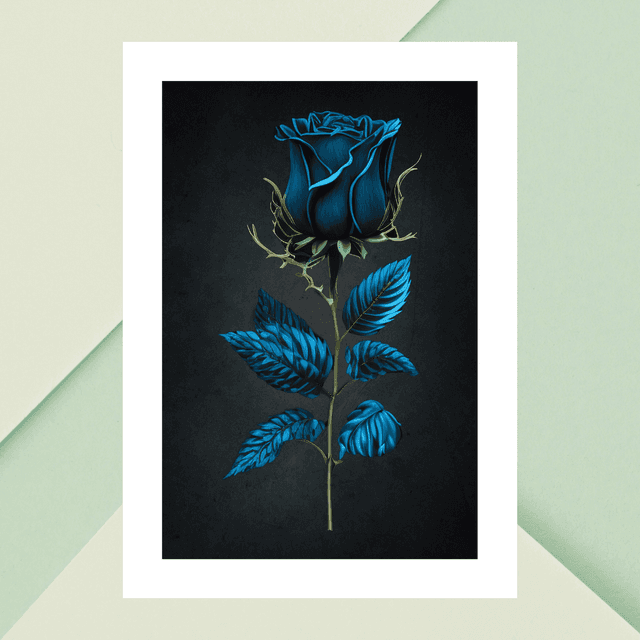 Rose Bleu-Vert sur Fond Gris Ombragé / Blue-Green Rose on Shady Gray Background: Décoration Murale Elegance in Contrast