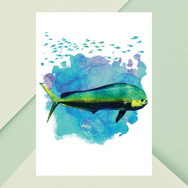  Impression Artistique de Mahi-mahi pour les Amoureux de l&#039;Océan / Mahi-mahi Art Print for Ocean Lovers : Décoration Murale Aquatic